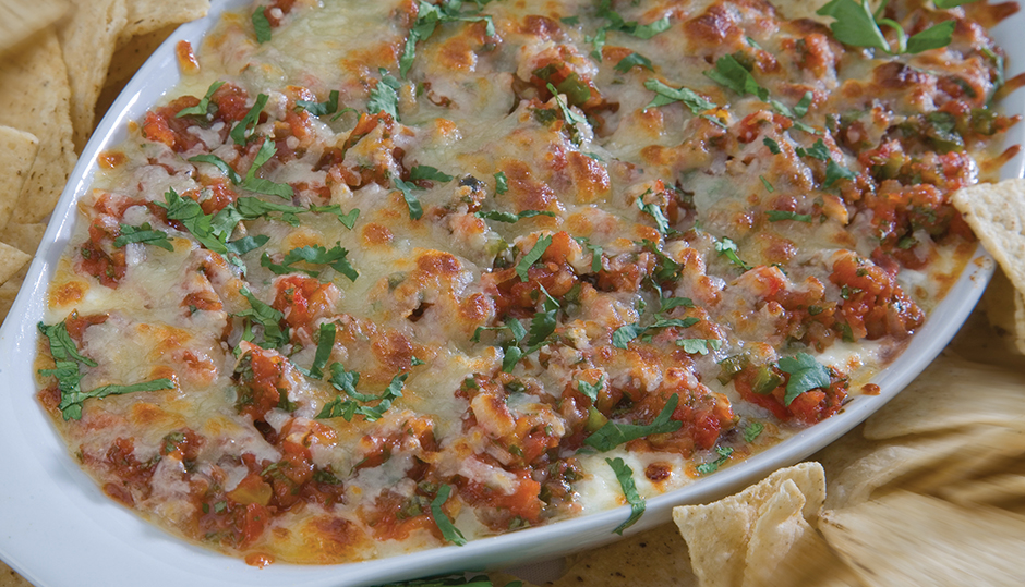 Layered Salsa and Bean Dip